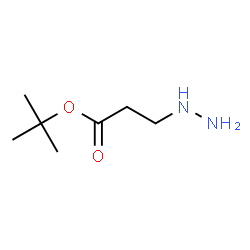 ChemSpider 2D Image | tert-butyl 3-hydrazinopropanoate | C7H16N2O2