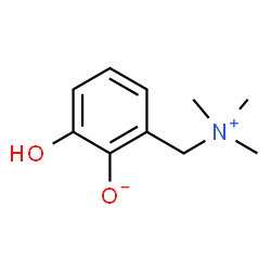 ChemSpider 2D Image | 2-Hydroxy-6-[(trimethylammonio)methyl]phenolate | C10H15NO2
