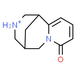 ChemSpider 2D Image | 6-Oxo-7-aza-11-azoniatricyclo[7.3.1.0~2,7~]trideca-2,4-diene | C11H15N2O