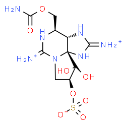 ChemSpider 2D Image | (3aS,4R,9S,10aS)-2,6-Diammonio-4-[(carbamoyloxy)methyl]-10,10-dihydroxy-3a,4,9,10-tetrahydro-1H,8H-pyrrolo[1,2-c]purin-9-yl sulfate | C10H18N7O8S