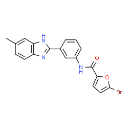 ChemSpider 2D Image | 5-Bromo-N-[3-(5-methyl-1H-benzimidazol-2-yl)phenyl]-2-furamide | C19H14BrN3O2