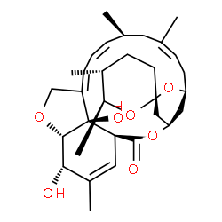 ChemSpider 2D Image | (1'S,2S,4'R,5R,6S,8'S,10'Z,13'S,14'Z,16'Z,20'S,21'S,24'R)-21',24'-Dihydroxy-5,6,11',13',22'-pentamethyl-3,4,5,6-tetrahydro-2'H-spiro[pyran-2,6'-[3,7,19]trioxatetracyclo[15.6.1.1~4,8~.0~20,24~]pentacos
a[10,14,16,22]tetraen]-2'-one | C31H44O7