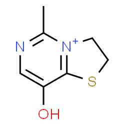 ChemSpider 2D Image | 8-Hydroxy-5-methyl-2,3-dihydro[1,3]thiazolo[3,2-c]pyrimidin-4-ium | C7H9N2OS