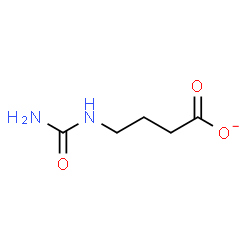ChemSpider 2D Image | 4-(Carbamoylamino)butanoate | C5H9N2O3