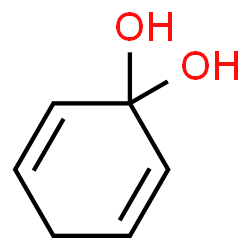 ChemSpider 2D Image | cyclohexa-2,5-diene-1,1-diol | C6H7O2