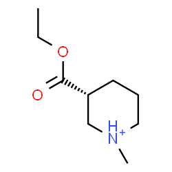 ChemSpider 2D Image | (3R)-3-(Ethoxycarbonyl)-1-methylpiperidinium | C9H18NO2