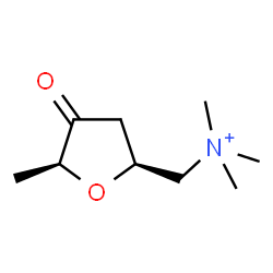 ChemSpider 2D Image | 2,5-Anhydro-1,4,6-trideoxy-6-(trimethylammonio)-D-erythro-hex-3-ulose | C9H18NO2