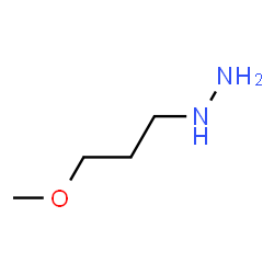 ChemSpider 2D Image | (3-Methoxypropyl)hydrazine | C4H12N2O