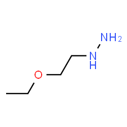 ChemSpider 2D Image | (2-Ethoxyethyl)hydrazine | C4H12N2O