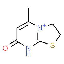ChemSpider 2D Image | 5-Methyl-7-oxo-2,3,7,8-tetrahydro[1,3]thiazolo[3,2-a]pyrimidin-4-ium | C7H9N2OS