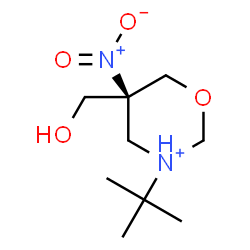 ChemSpider 2D Image | (5S)-5-(Hydroxymethyl)-3-(2-methyl-2-propanyl)-5-nitro-1,3-oxazinan-3-ium | C9H19N2O4