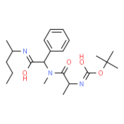 ChemSpider 2D Image | 2-Methyl-2-propanyl (1-{methyl[2-oxo-2-(2-pentanylamino)-1-phenylethyl]amino}-1-oxo-2-propanyl)carbamate | C22H35N3O4