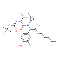 ChemSpider 2D Image | 2-Methyl-2-propanyl (1-{[1-(4-hydroxy-3-methylphenyl)-2-oxo-2-(pentylamino)ethyl](2-methylcyclopropyl)amino}-3-methyl-1-oxo-2-butanyl)carbamate | C28H45N3O5