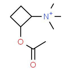 ChemSpider 2D Image | 2-Acetoxy-N,N,N-trimethylcyclobutanaminium | C9H18NO2