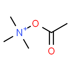 ChemSpider 2D Image | Acetoxy(trimethyl)ammonium | C5H12NO2