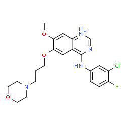 ChemSpider 2D Image | N-(3-chloro-4-fluoro-phenyl)-7-methoxy-6-(3-morpholinopropoxy)quinazolin-1-ium-4-amine | C22H25ClFN4O3