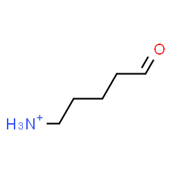 ChemSpider 2D Image | 5-Oxo-1-pentanaminium | C5H12NO