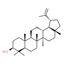 ChemSpider 2D Image | beta-Viscol | C30H50O