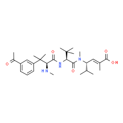 ChemSpider 2D Image | 3-Acetyl-N,beta,beta-trimethyl-L-phenylalanyl-N-[(3S,4E)-5-carboxy-2-methyl-4-hexen-3-yl]-N,3-dimethyl-L-valinamide | C29H45N3O5