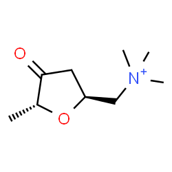 ChemSpider 2D Image | 2,5-Anhydro-1,4,6-trideoxy-6-(trimethylammonio)-D-threo-hex-3-ulose | C9H18NO2