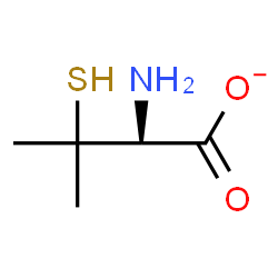 ChemSpider 2D Image | d-penicillaminate | C5H10NO2S