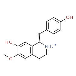 ChemSpider 2D Image | (S)-coclaurinium | C17H20NO3