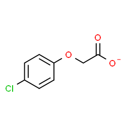 ChemSpider 2D Image | (4-Chlorophenoxy)acetate | C8H6ClO3