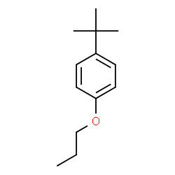 ChemSpider 2D Image | 1-tert-Butyl-4-propoxybenzene | C13H20O