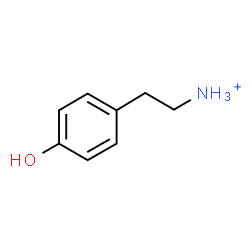 ChemSpider 2D Image | tyraminium | C8H12NO
