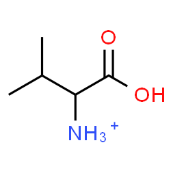 ChemSpider 2D Image | 1-Carboxy-2-methyl-1-propanaminium | C5H12NO2