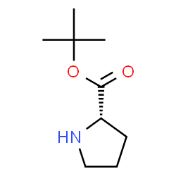 ChemSpider 2D Image | tert-Butyl L-prolinate | C9H17NO2