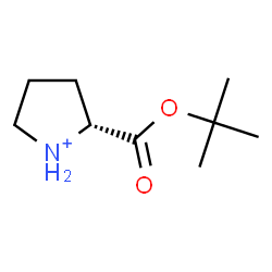 ChemSpider 2D Image | (2R)-2-{[(2-Methyl-2-propanyl)oxy]carbonyl}pyrrolidinium | C9H18NO2