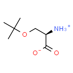 ChemSpider 2D Image | H-Ser(tBu)-OH | C7H15NO3