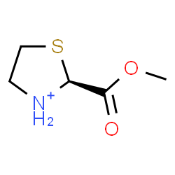 ChemSpider 2D Image | (2S)-2-(Methoxycarbonyl)-1,3-thiazolidin-3-ium | C5H10NO2S