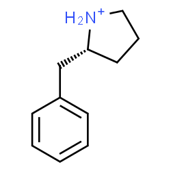 ChemSpider 2D Image | (2R)-2-Benzylpyrrolidinium | C11H16N