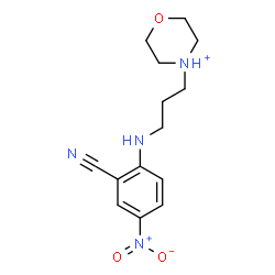 ChemSpider 2D Image | 4-{3-[(2-Cyano-4-nitrophenyl)amino]propyl}morpholin-4-ium | C14H19N4O3