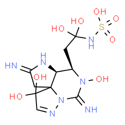ChemSpider 2D Image | {1,1-Dihydroxy-2-[(10R,10aS)-4,4,9-trihydroxy-2,8-diimino-2,3,8,9,10,10a-hexahydro-1H,4H-pyrazolo[1,5-c]pyrrolo[3,2-d]pyrimidin-10-yl]ethyl}sulfamic acid | C10H17N7O8S