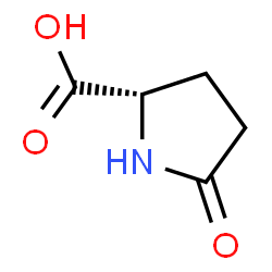 ChemSpider 2D Image | L-Pyroglutamic acid | C5H7NO3