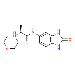ChemSpider 2D Image | 4-{(2S)-1-Oxo-1-[(2-oxo-2,3-dihydro-1H-benzimidazol-5-yl)amino]-2-propanyl}morpholin-4-ium | C14H19N4O3