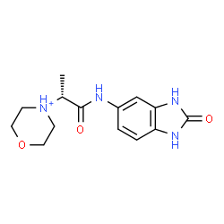 ChemSpider 2D Image | 4-{(2R)-1-Oxo-1-[(2-oxo-2,3-dihydro-1H-benzimidazol-5-yl)amino]-2-propanyl}morpholin-4-ium | C14H19N4O3