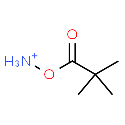 ChemSpider 2D Image | [(2,2-Dimethylpropanoyl)oxy]ammonium | C5H12NO2