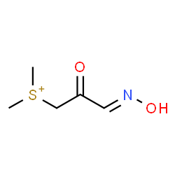 ChemSpider 2D Image | [(3E)-3-(Hydroxyimino)-2-oxopropyl](dimethyl)sulfonium | C5H10NO2S