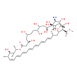 ChemSpider 2D Image | Methyl (2R,3S,5R,6R,9R,11R,15S,16R,17R,18S,19Z,21E,23E,25E,27E,29E,31E,33R,35S,36R,37S)-33-[(3-amino-3,6-dideoxy-beta-D-mannopyranosyl)oxy]-2,3,5,6,9,11,17,37-octahydroxy-15,16,18-trimethyl-13-oxo-14,
39-dioxabicyclo[33.3.1]nonatriaconta-19,21,23,25,27,29,31-heptaene-36-carboxylate | C48H75NO17