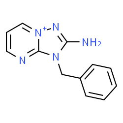 ChemSpider 2D Image | 2-Amino-3-benzyl-3H-[1,2,4]triazolo[1,5-a]pyrimidin-8-ium | C12H12N5