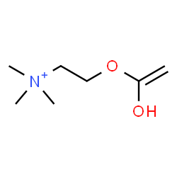 ChemSpider 2D Image | 2-[(1-Hydroxyvinyl)oxy]-N,N,N-trimethylethanaminium | C7H16NO2