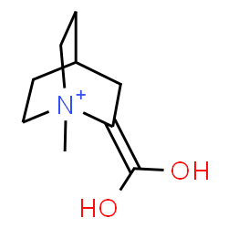 ChemSpider 2D Image | 2-(Dihydroxymethylene)-1-methyl-1-azoniabicyclo[2.2.2]octane | C9H16NO2