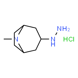 ChemSpider 2D Image | 3-Hydrazino-8-methyl-8-azabicyclo[3.2.1]octane hydrochloride (1:1) | C8H18ClN3