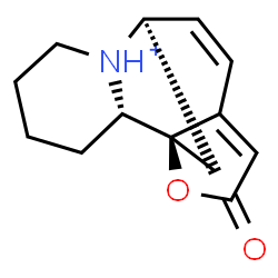 ChemSpider 2D Image | (1R,2S,8R)-13-Oxo-14-oxa-7-azoniatetracyclo[6.6.1.0~1,11~.0~2,7~]pentadeca-9,11-diene | C13H16NO2