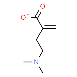 ChemSpider 2D Image | 4-(Dimethylamino)-2-methylenebutanoate | C7H12NO2