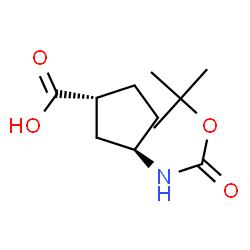 ChemSpider 2D Image | (1r,3r)-n-boc-1-aminocyclopentane-3-carboxylic acid | C11H19NO4
